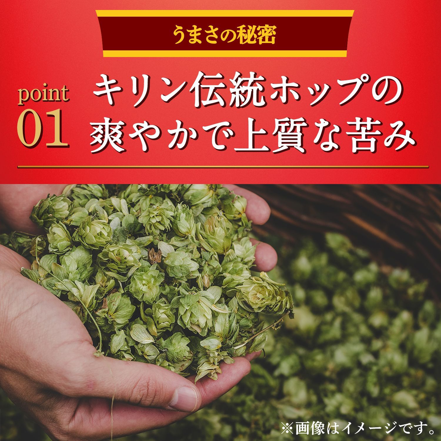 本麒麟 350ml×2ケース|48本