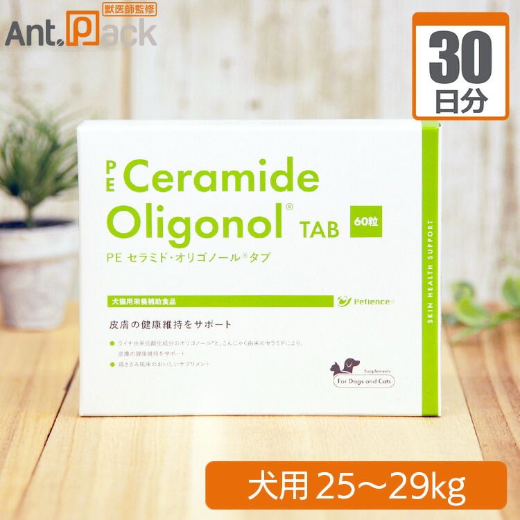 角田淳 クグロフ 白 セット