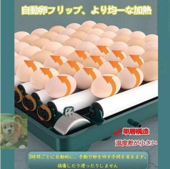 自動転卵