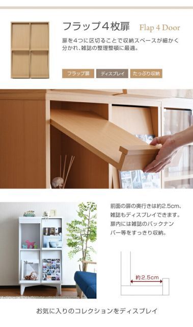 フラップ扉 2枚