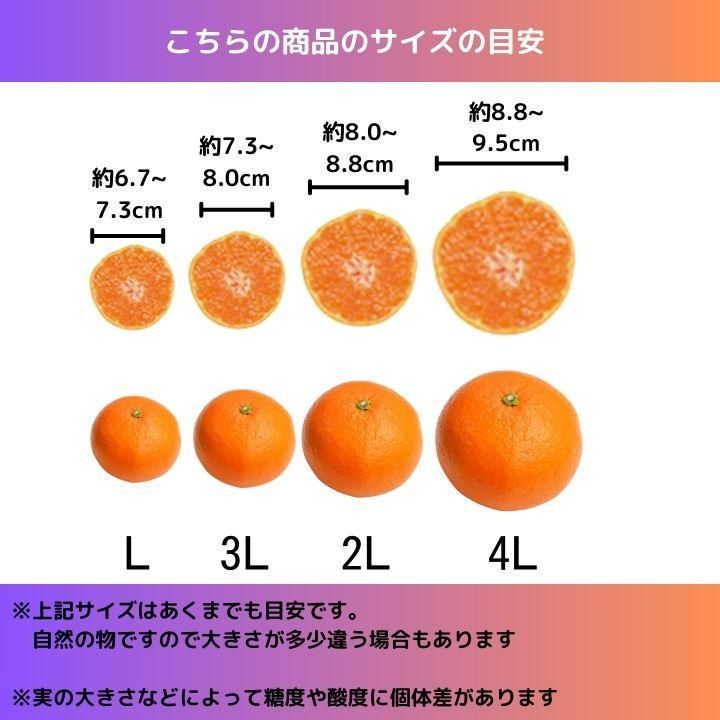 3kg 和歌山県産