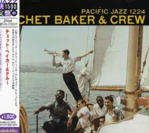 小沢健二 CD17枚 VHS LPセット