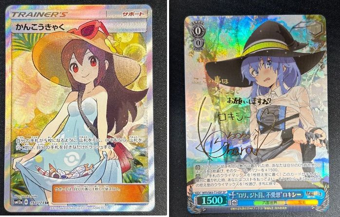 まとめ購入 ロキシーSP かんこうきゃくSR