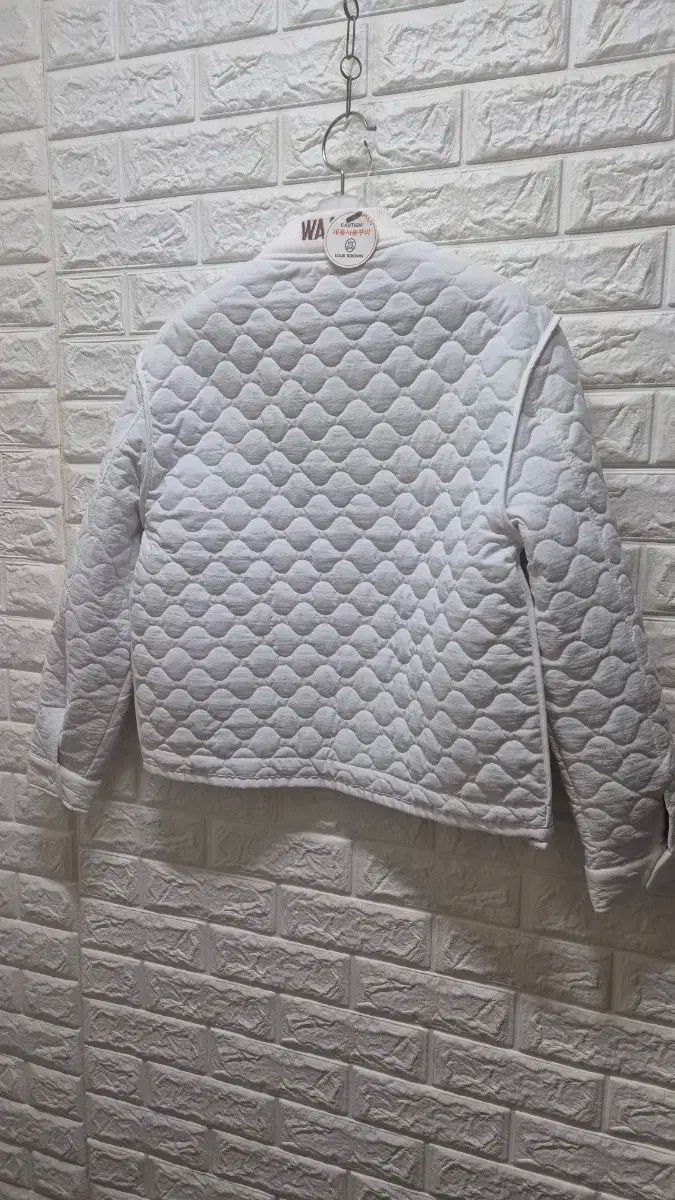 レディースゴルフ ダウンジャケット M Lサイズ LLC-HASEGAWATOSO_COM