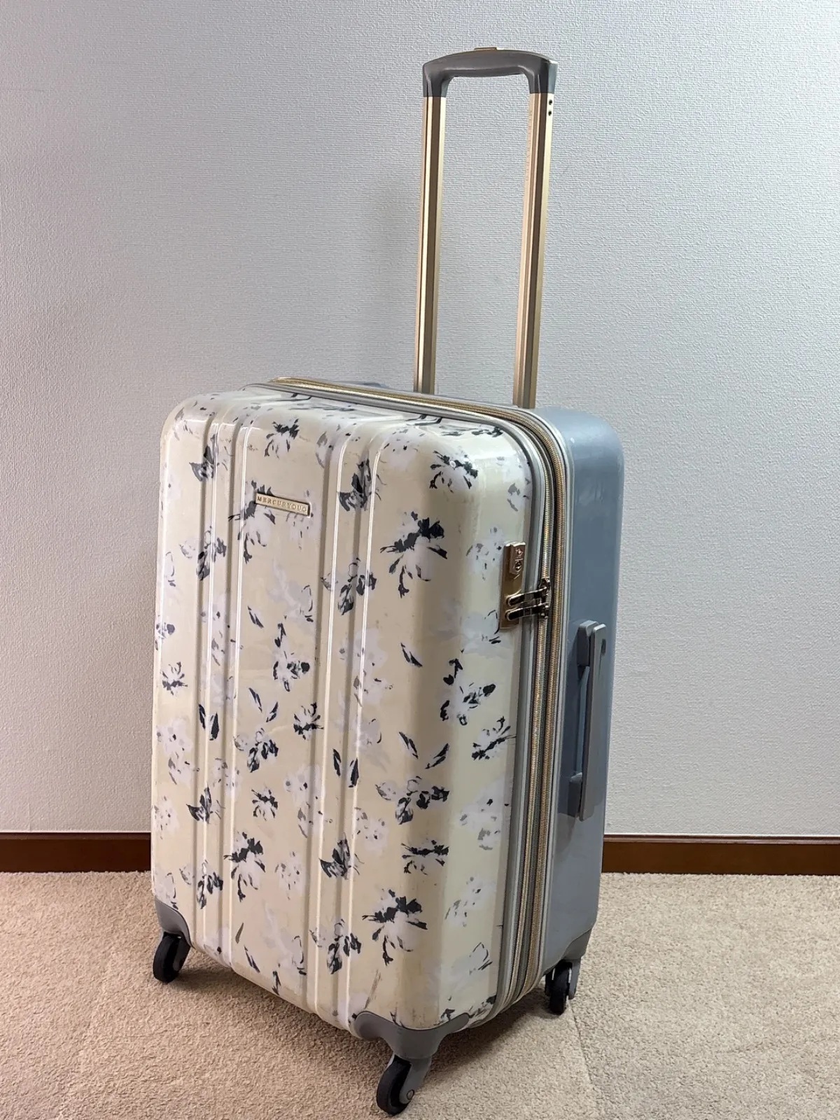 2025年最新】MERCURY DUO レディース キャリーケースの人気アイテム