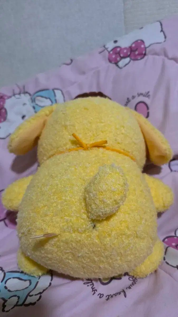 ミディアムドール