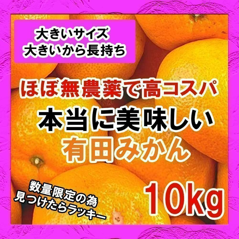 有田みかん 訳あり 10kg 早生みかん 減農薬 産地直送 濃厚 甘い 高糖度