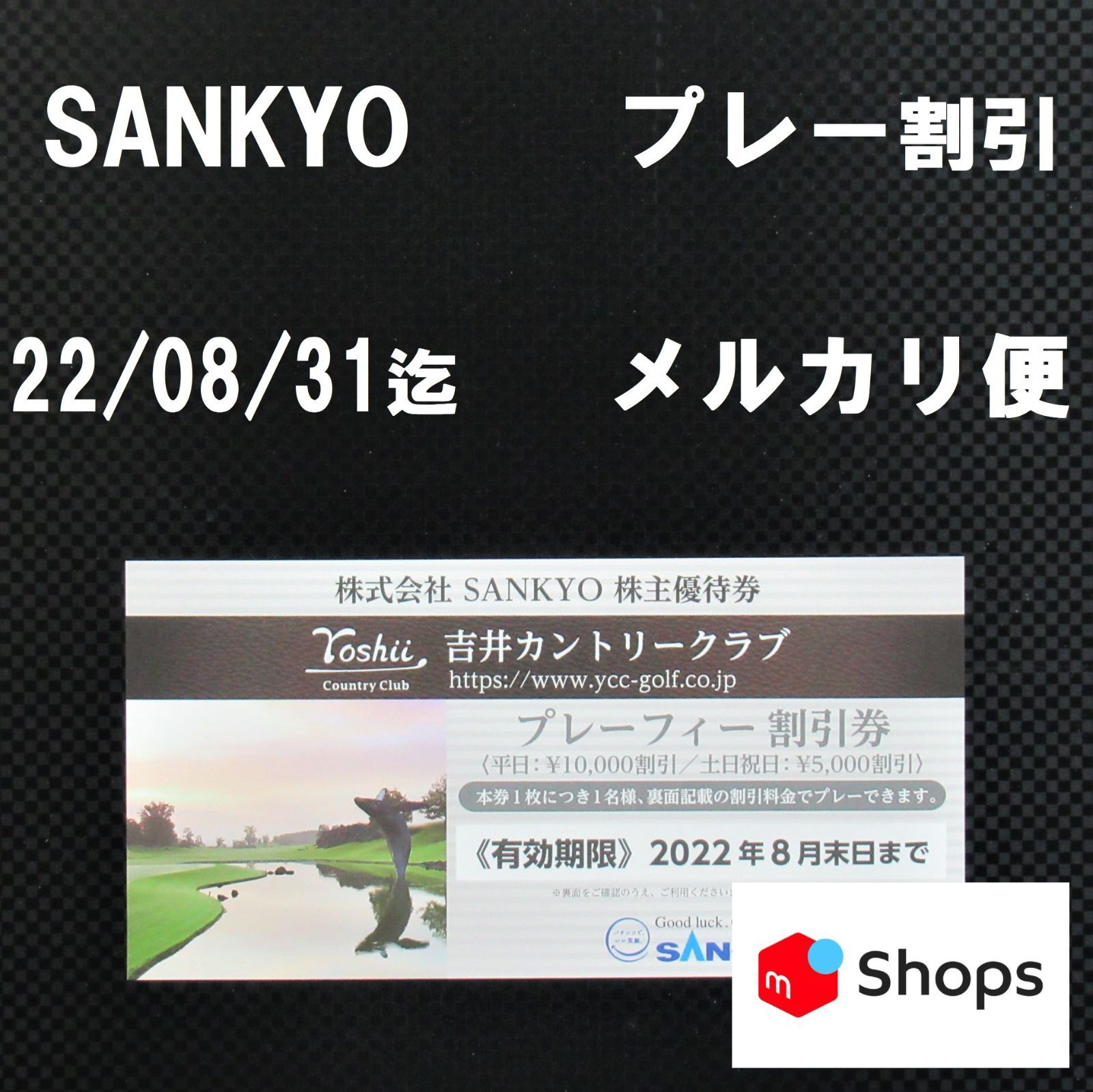 SANKYO サンキョー 株主優待 吉井カントリークラブ 割引券 1枚 - Sky