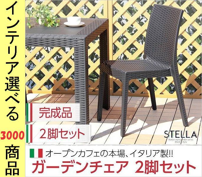 椅子 ガーデンチェア 46×55×85cm プラスチック アームレストなし 2脚 ブラック色 YHSH0511232