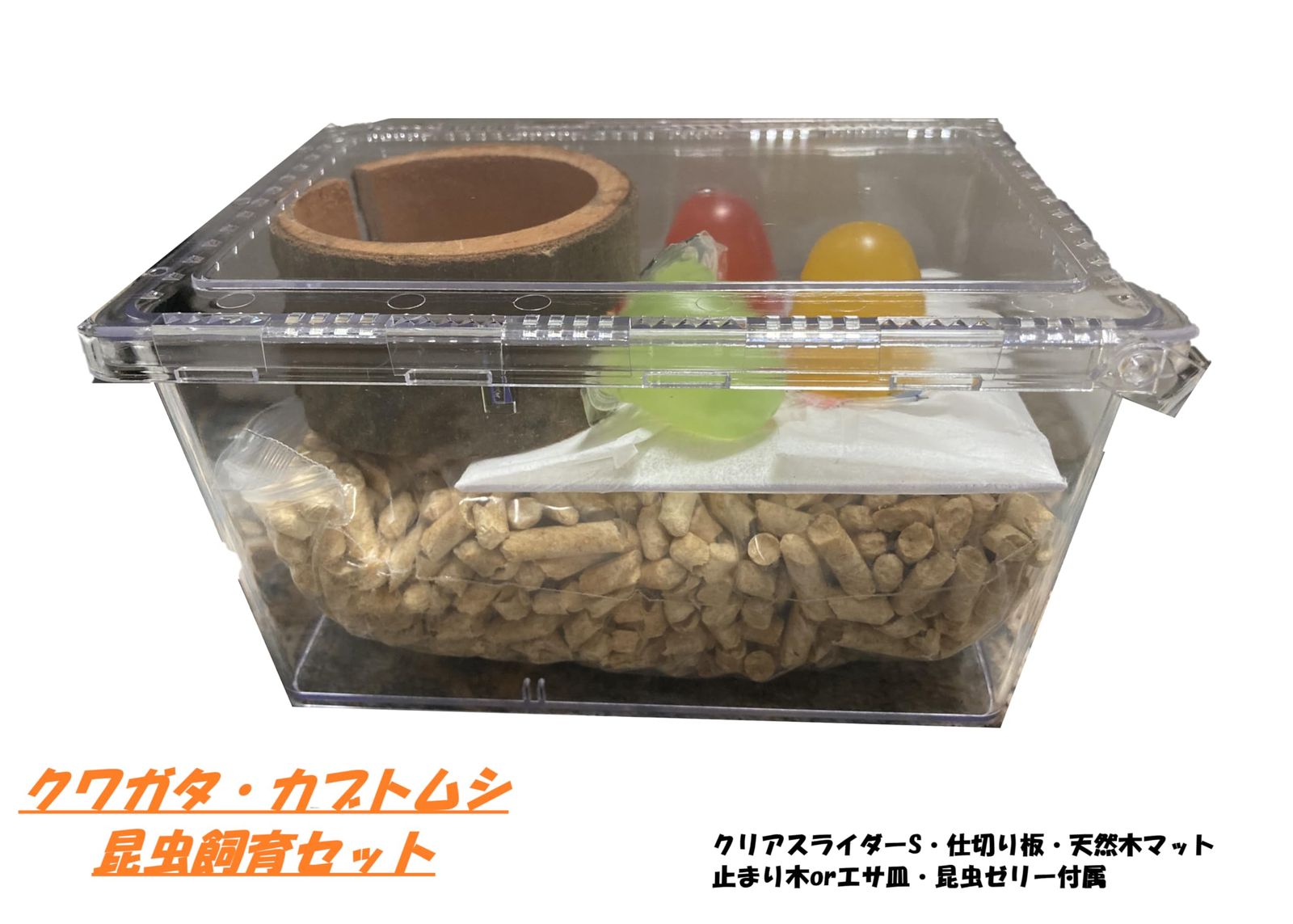 クワガタ・カブトムシ昆虫飼育セット 昆虫飼育キット クリア
