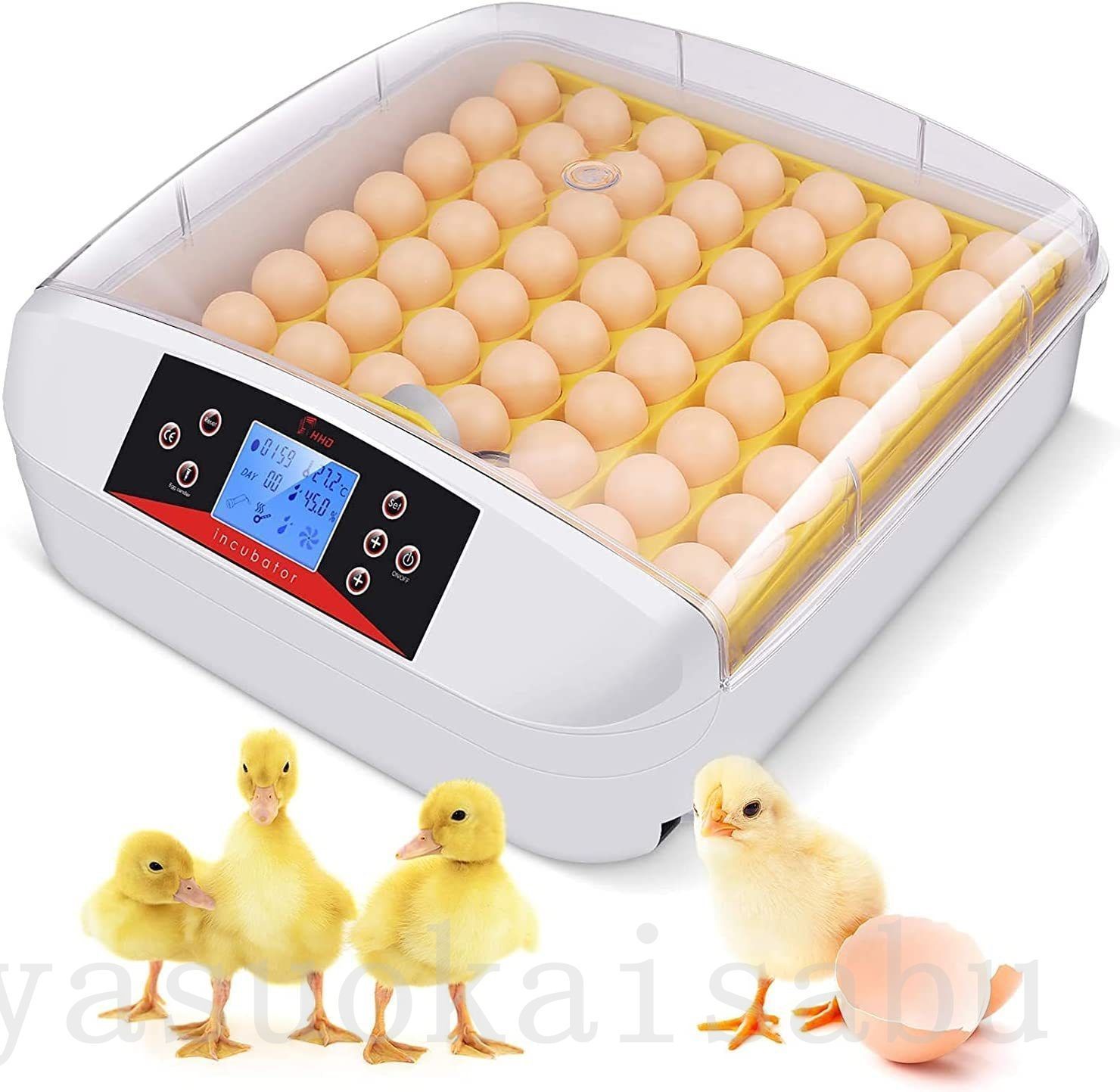 鳥類 子供教育用