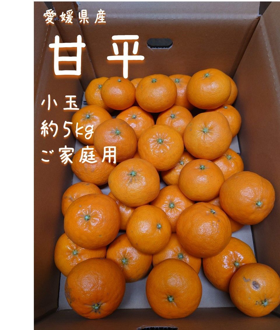 愛媛県産甘平家庭用小玉サイズ約5kg - 果物