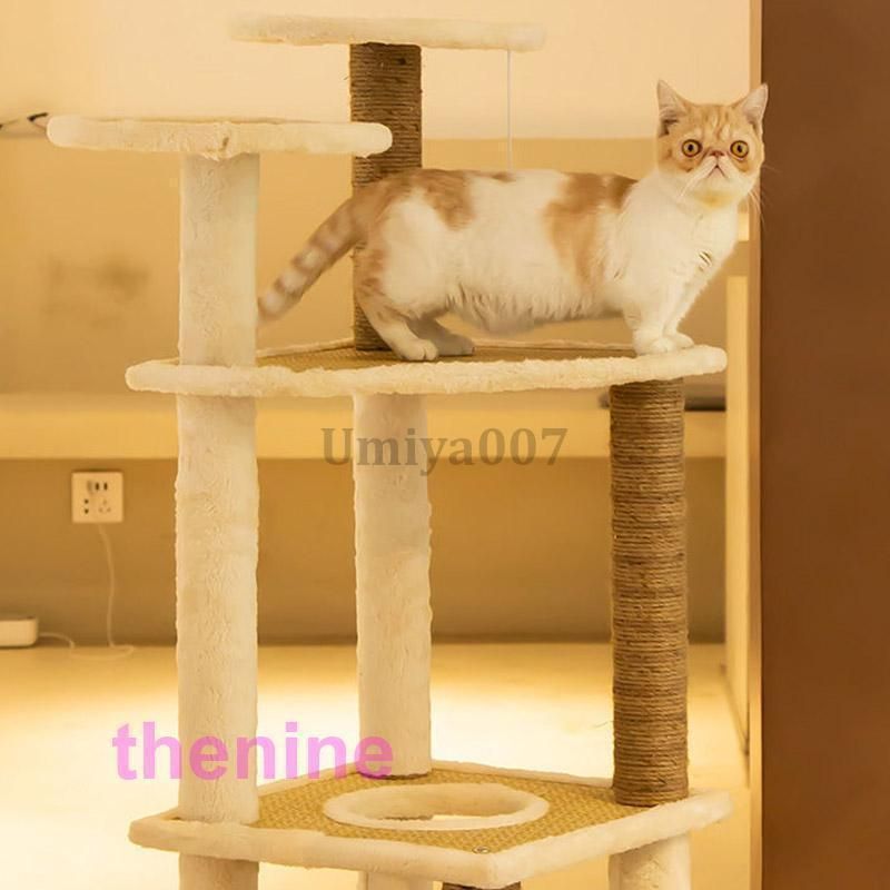 多頭飼い