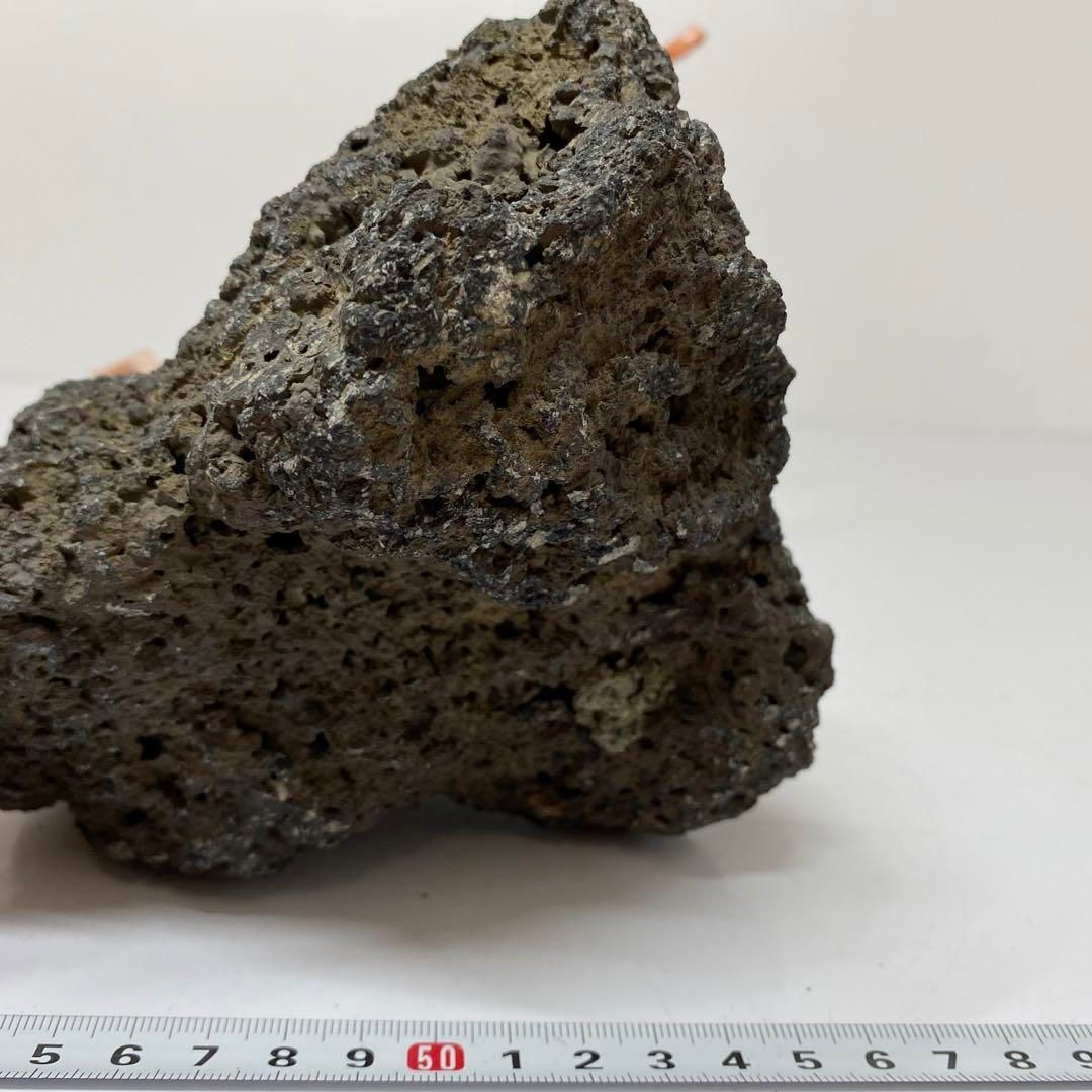 本珊瑚 桃色珊瑚 原木 1982g トヒチサ 東さ6-0208① - メルカリ