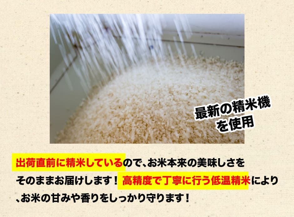 30kgブレンド米10kgx3 令和6年産入り生活応援小粒米の全国複数原料