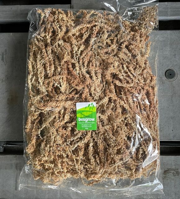 水苔ニュージーランド産 超 レイヤー100g ～ストランドモス 長繊維水苔