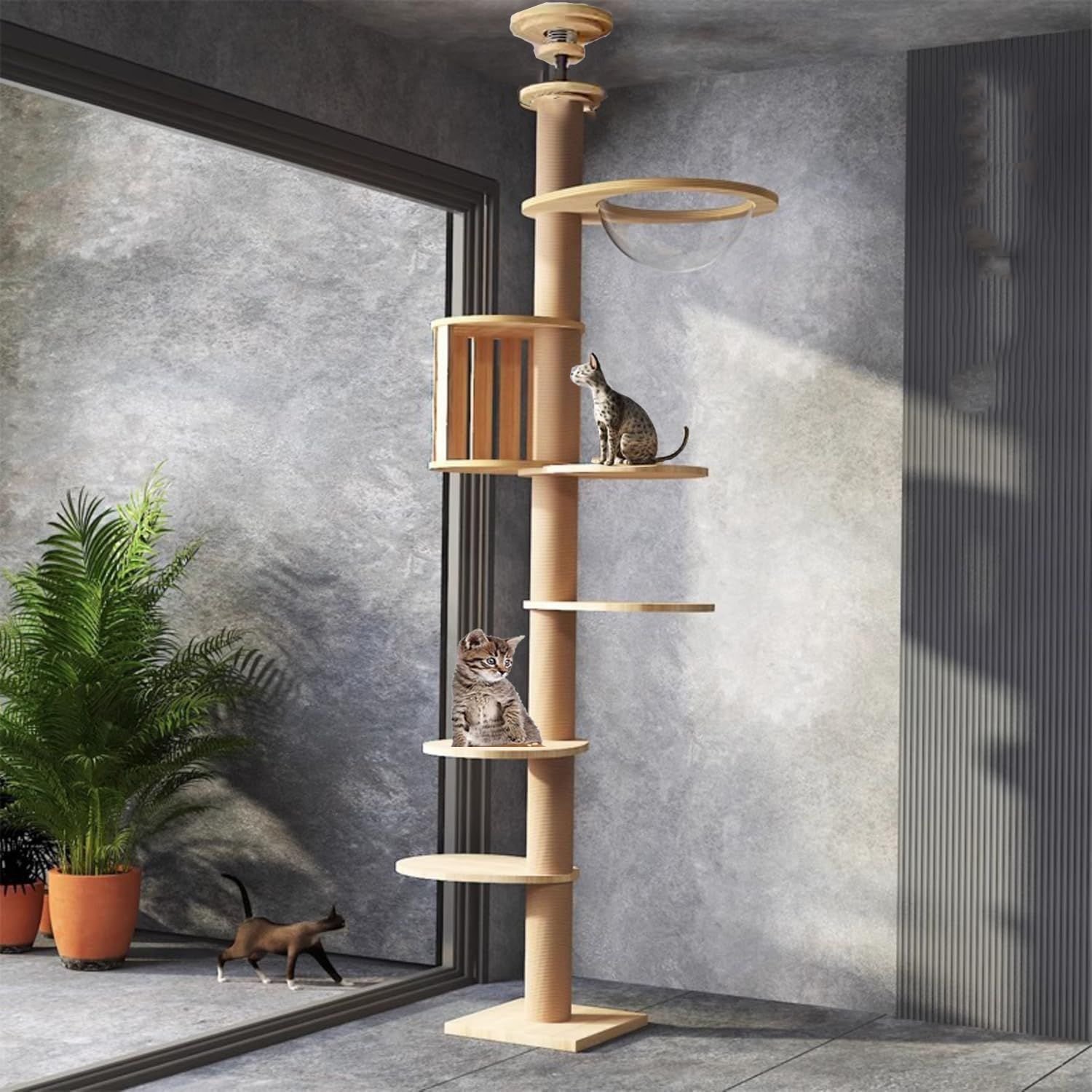 新着商品 2025年の新スタイル Yinanroa キャットタワーキャットタワー 突っ張りタイプ木製スリム大型猫用タワーキャット木登りタワー 宇宙船付き シングル固定 置き型猫タワー 省スペースハンモック多頭飼い 安定性良い猫ツリー キャット