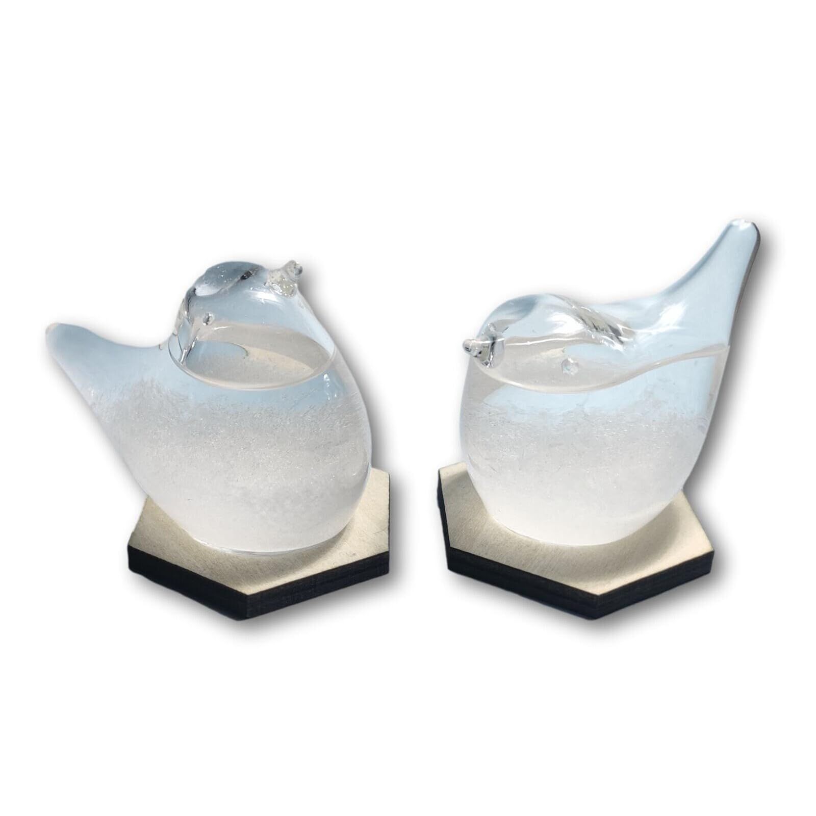 Size L70xH50xW40mm L65xH50xW40mm_Color ナチュラル fullion ストームグラス Weather forecast bottle 鳥 Storm Glass ウッドベース付属 bird バード