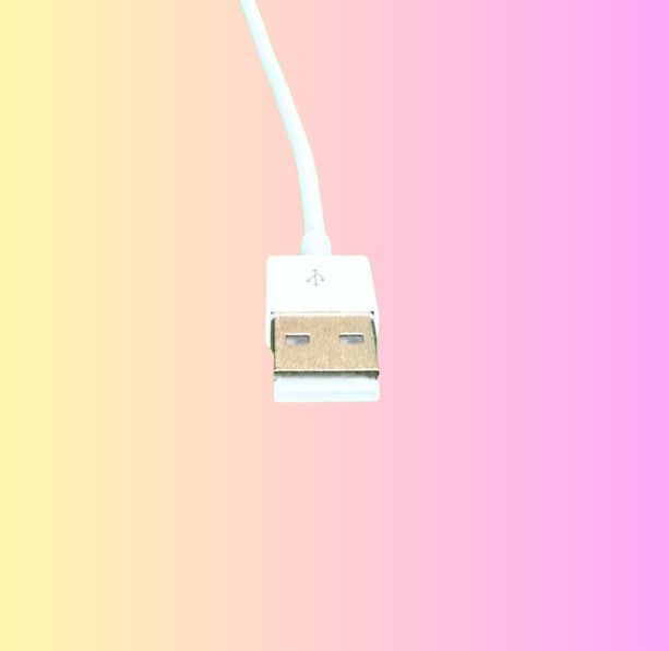 iPhone充電器1m2本iPhone充電ケーブル高速充電typeCタイプC 