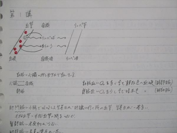 VK14-121 河合塾マナビス 共通テスト対策生物基礎 生物の体内環境の維持/生物と遺伝子/他 2022 計3冊 15S0C - メルカリ