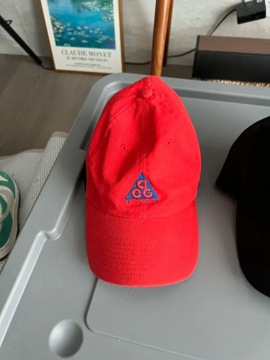 ナイキ acg