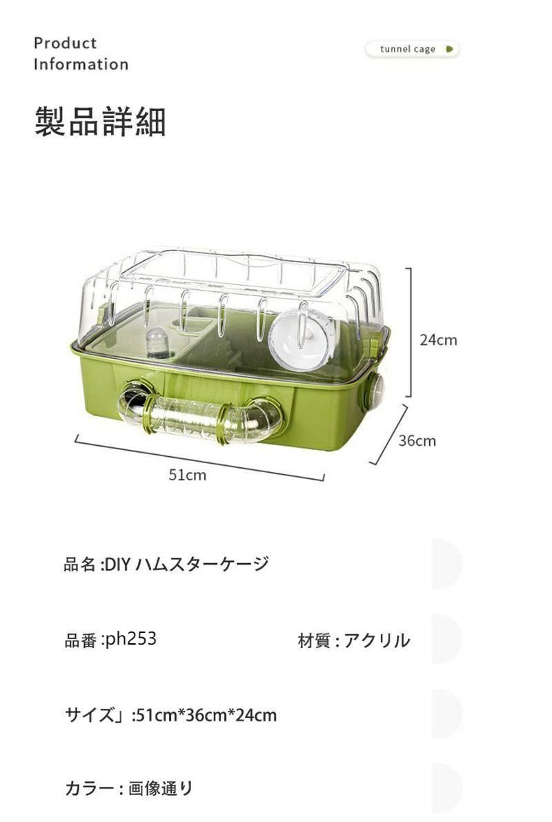 通気性の穴 ゴールデンベア