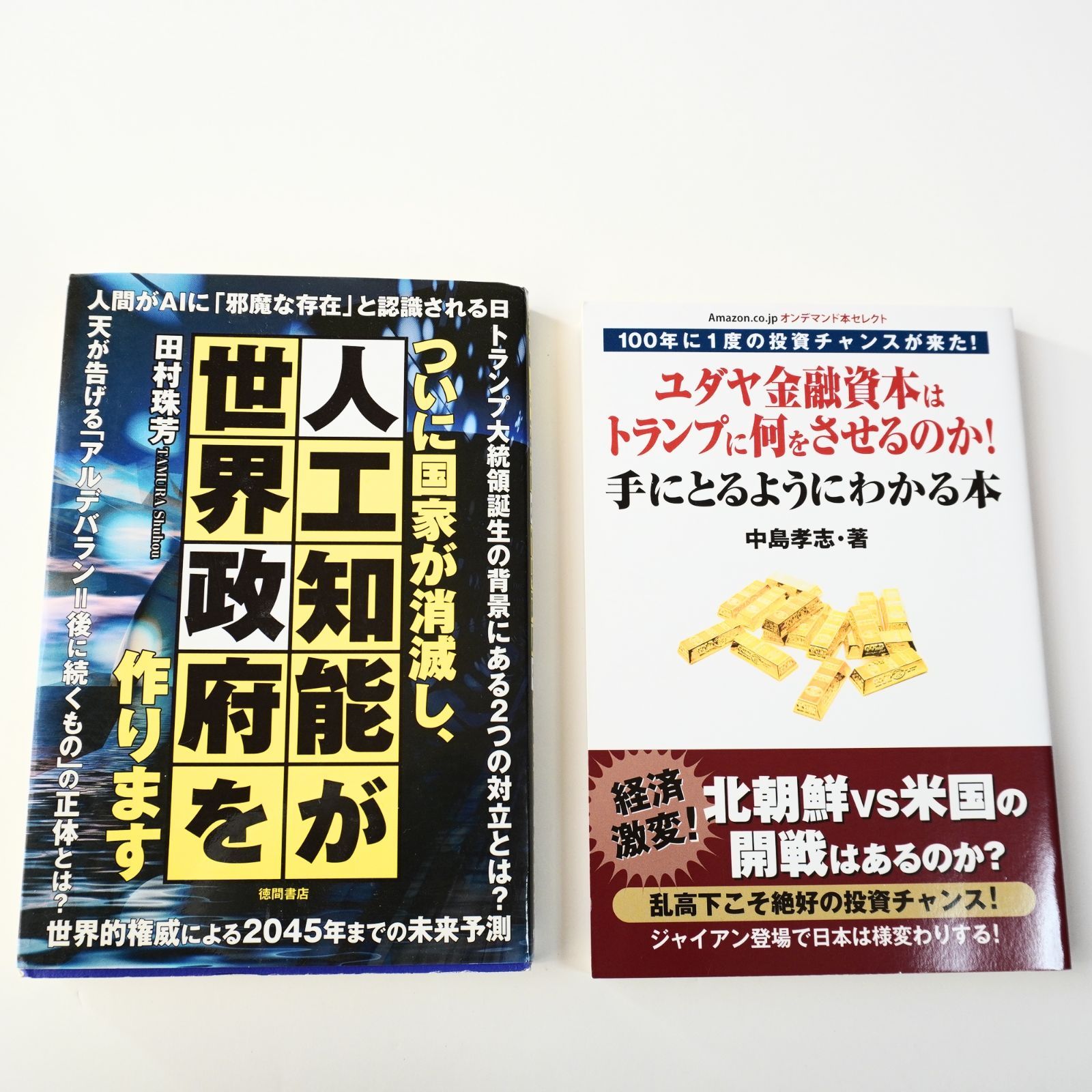 陰謀論系の本2冊セットです。人工知能が世界政府を作ります、ユダヤ金融資本はトランプに何をさせるのか - メルカリ