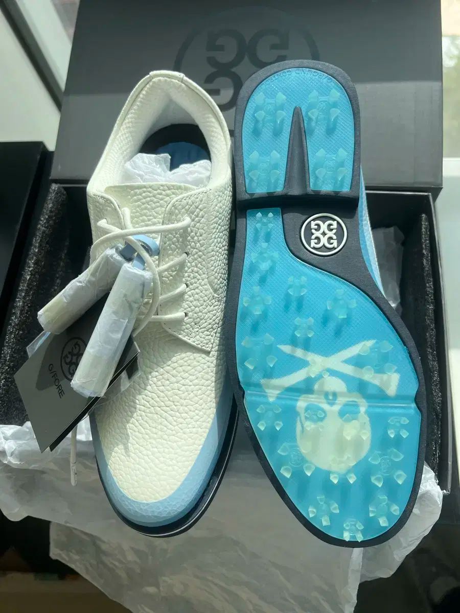 タッセル 갈리벤터