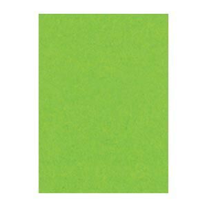 リンテック ニュー Ｒ 4 NCR 238 こいきみどり