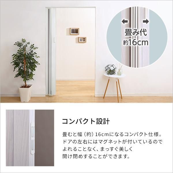 ガラス調のパネルドア