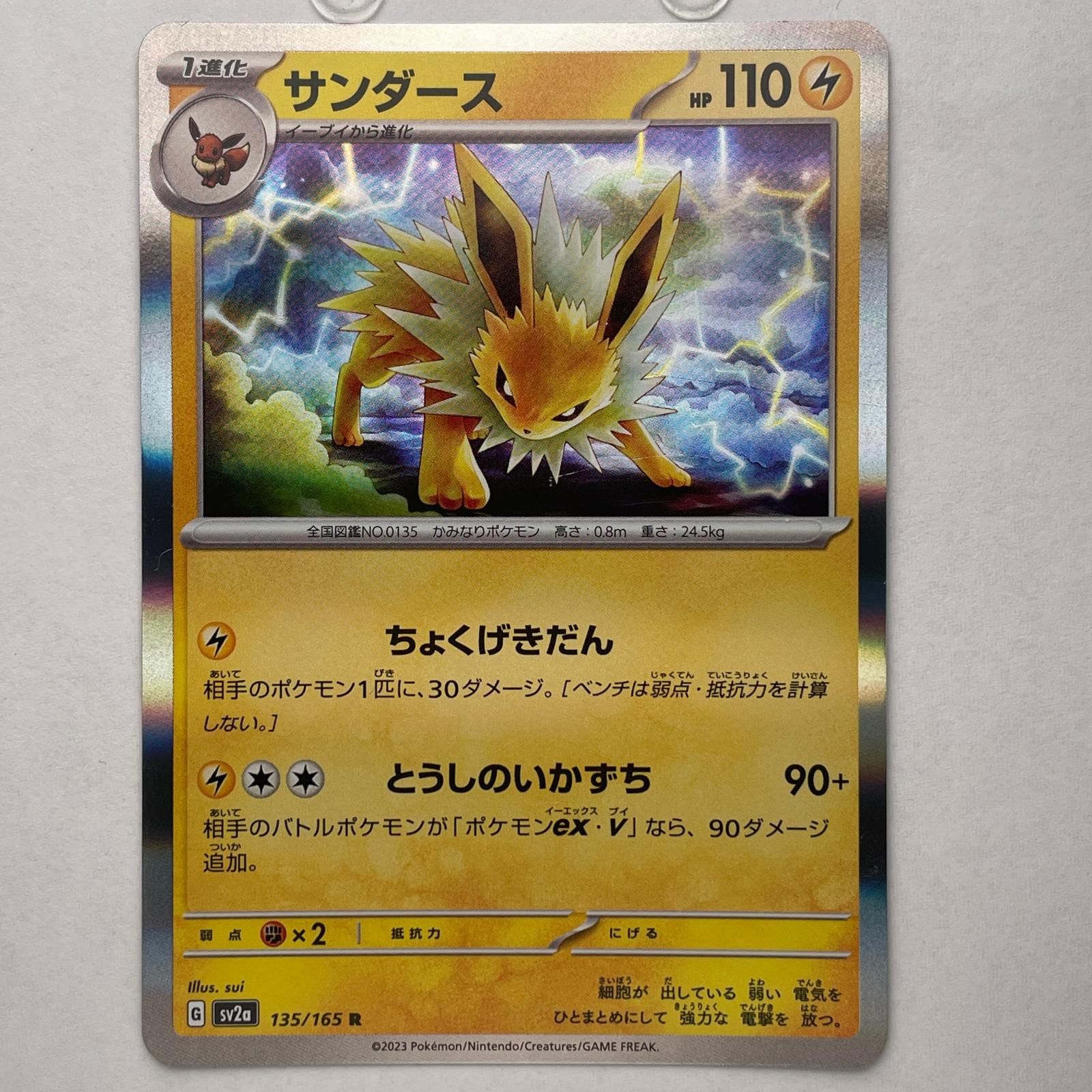 R レア サンダース POKEMON ポケモン ポケモンカード Pokemon