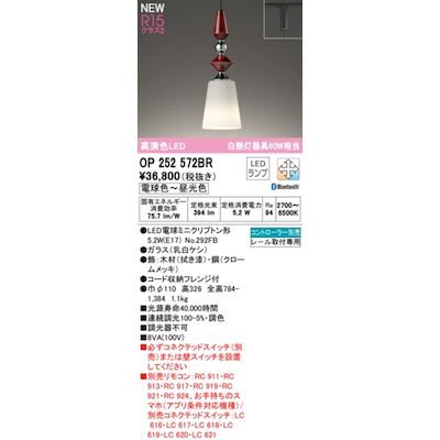 【新品・7営業日以内発送】オーデリック ODELIC OP252572BR ランプ別梱包【沖縄離島販売不可】