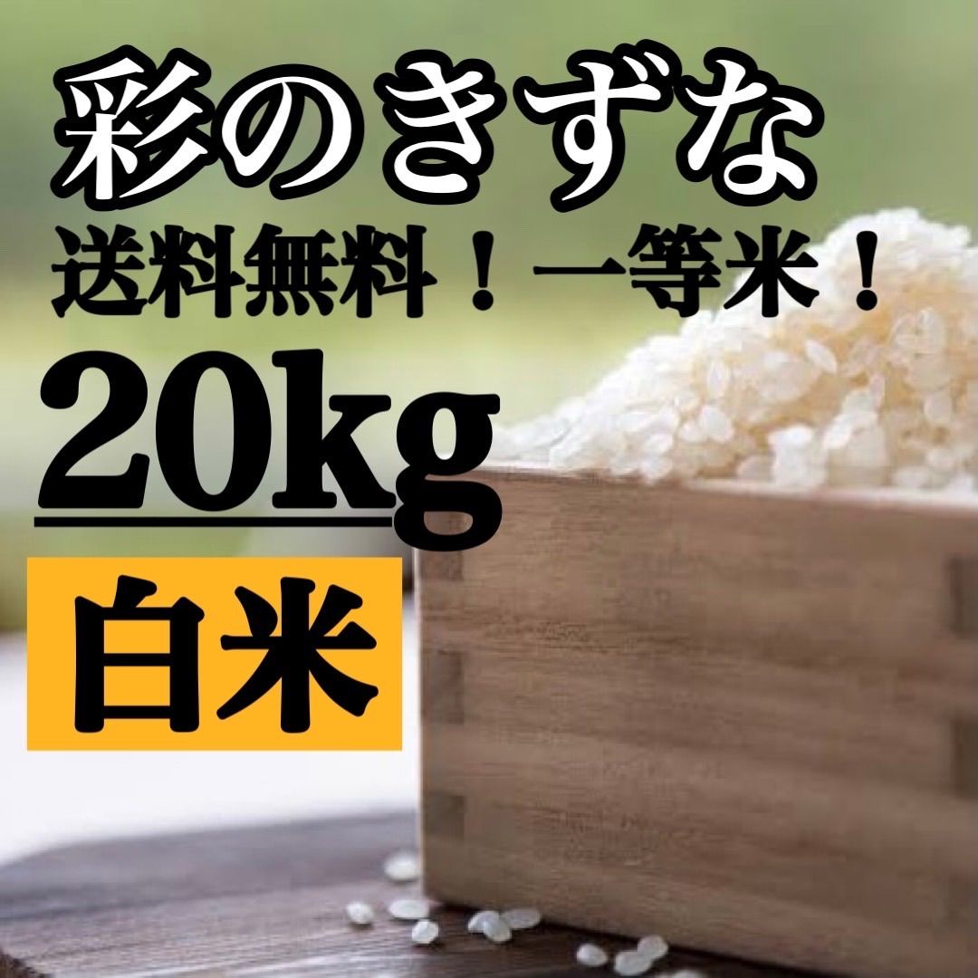 白米　20kg コシヒカリ　新米　埼玉県産　令和4年産　送料無料　米　20キロ