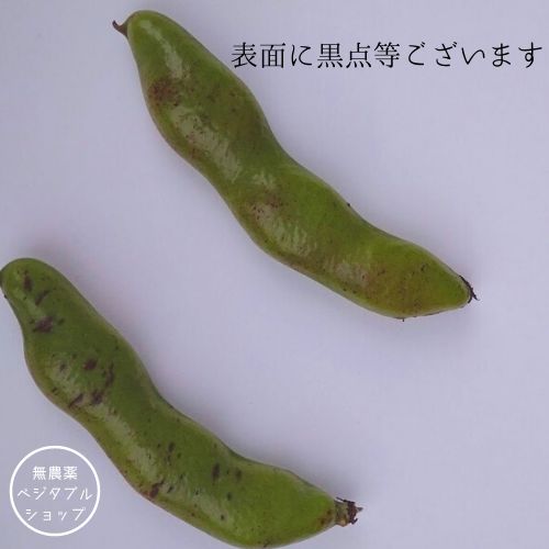 広島県産 無農薬 おたふく そら豆 1.1㎏ - メルカリ