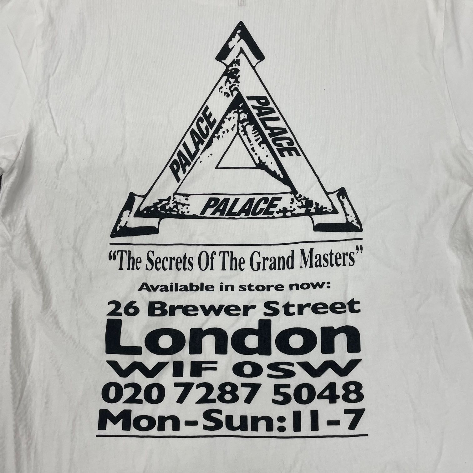 PALACE GRAND MASTER T‑SHIRT グランドマスター Tシャツ プリント 
