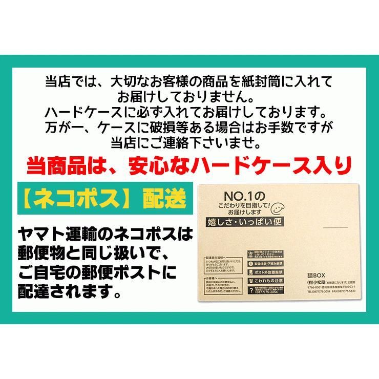20時間熟成 半生 並麺 讃岐うどん つゆ付きセット 便利な個包装 750g 送料無料　A36
