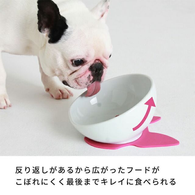 わんテーブル セット