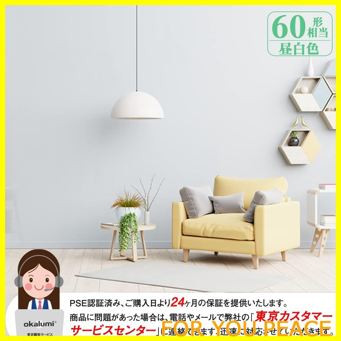 特価商品】OKALUMI LED電球 T形 E17口金 40~60W形相当 昼白色 810lm