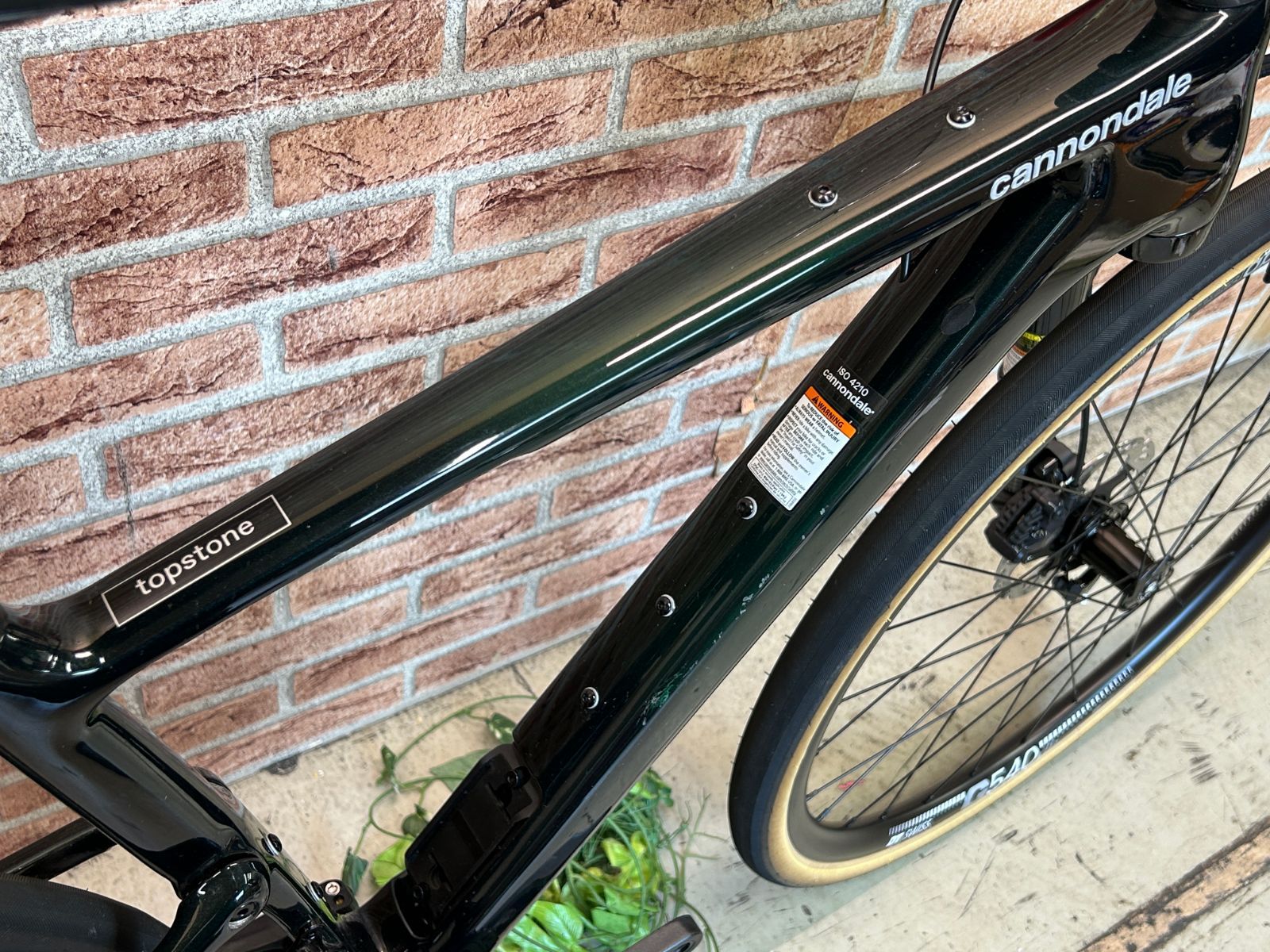 ダメージあり CANNONDALE
