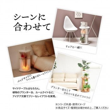 B.Bファニシング