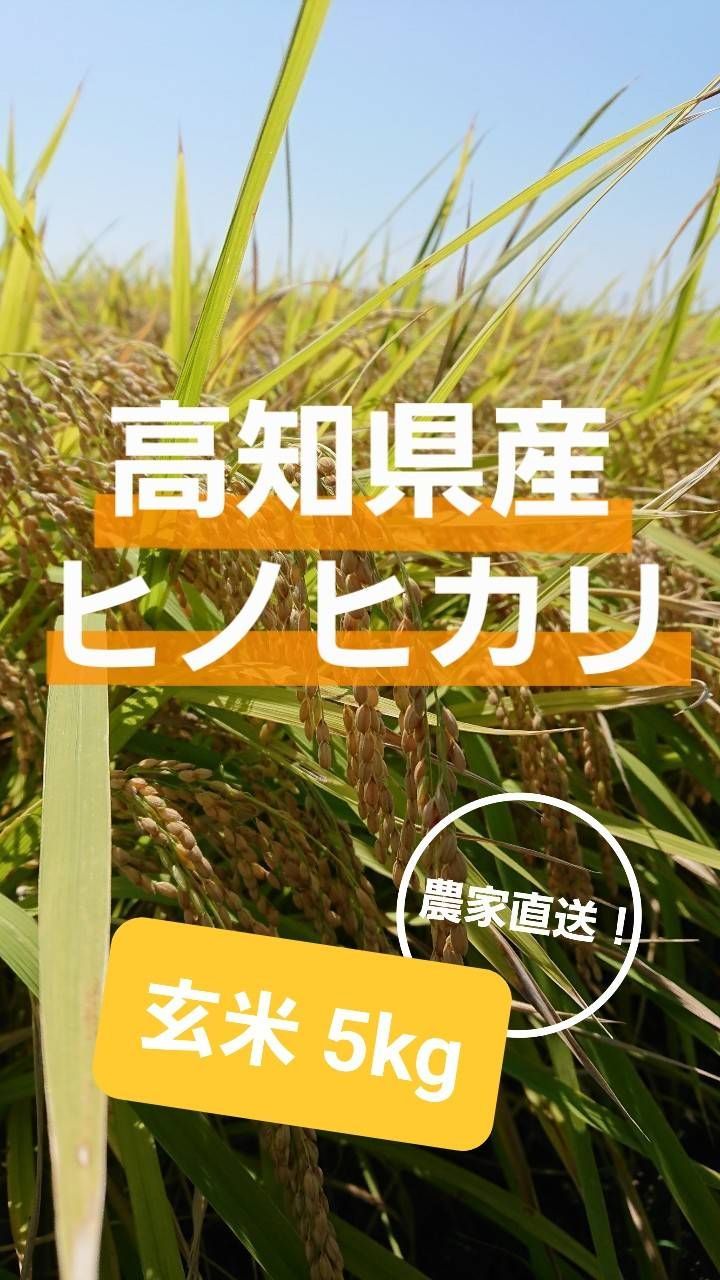 高知県産ヒノヒカリ玄米５㌔ - 戸梶農園 - メルカリ