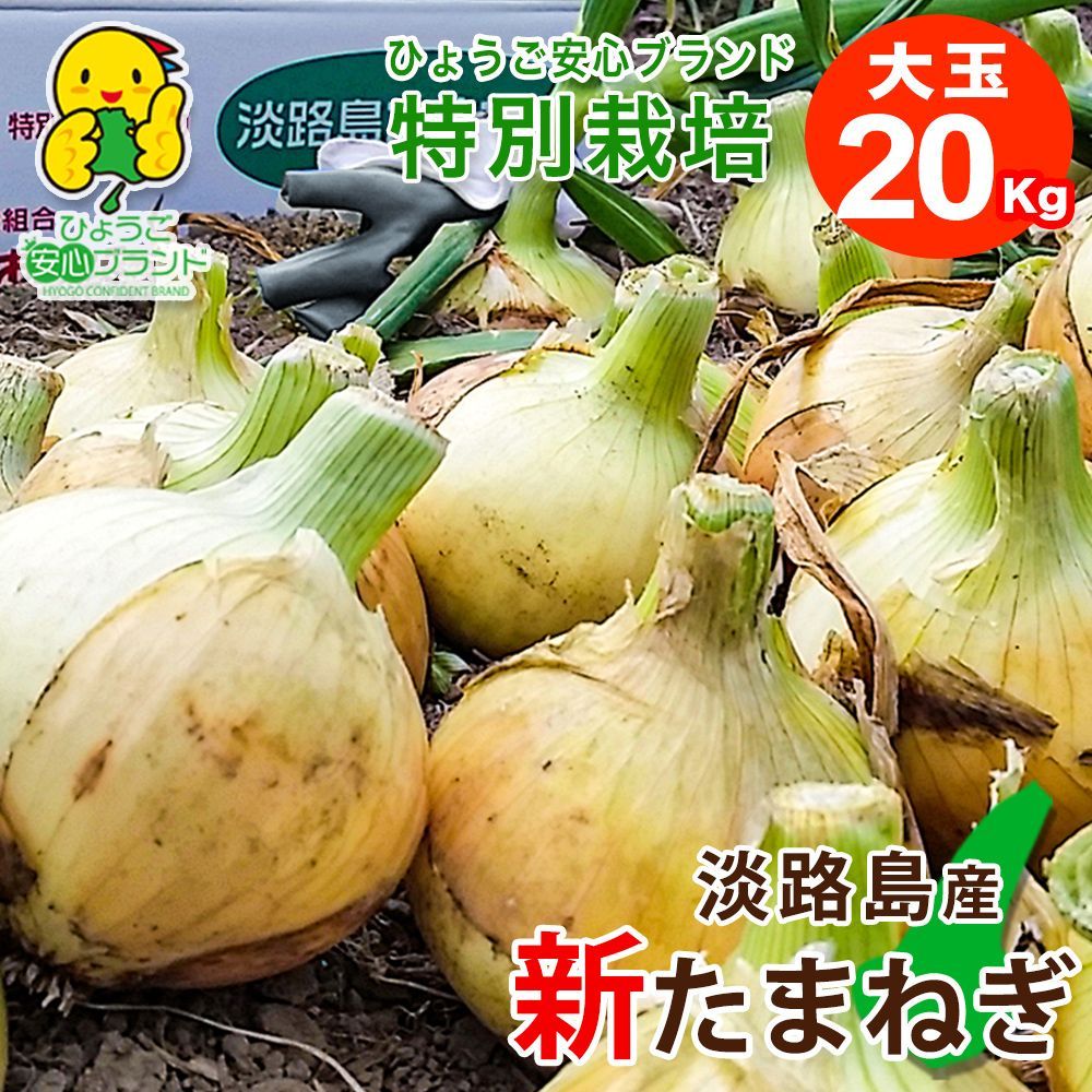 あさひ 大玉20kg ひょうご安心ブランド 淡路島新たまねぎ わせ品種 特別栽培 飲食店様 共同 様用