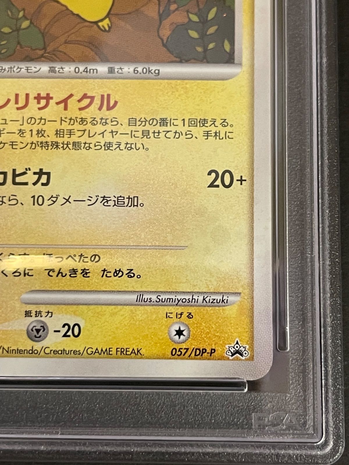 ピカチュウ 057/DP-P プロモ 2007年 5枚セット m23945307466_1.jpg