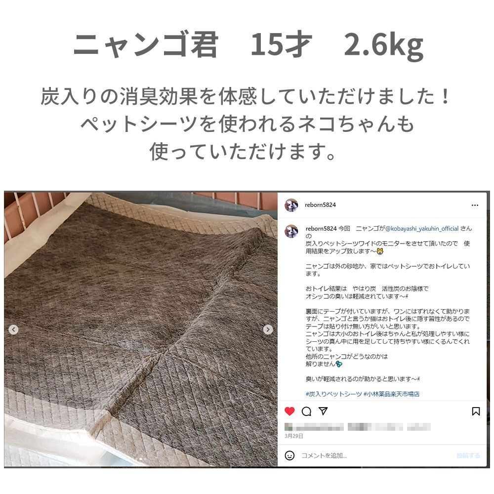 100枚 ケース