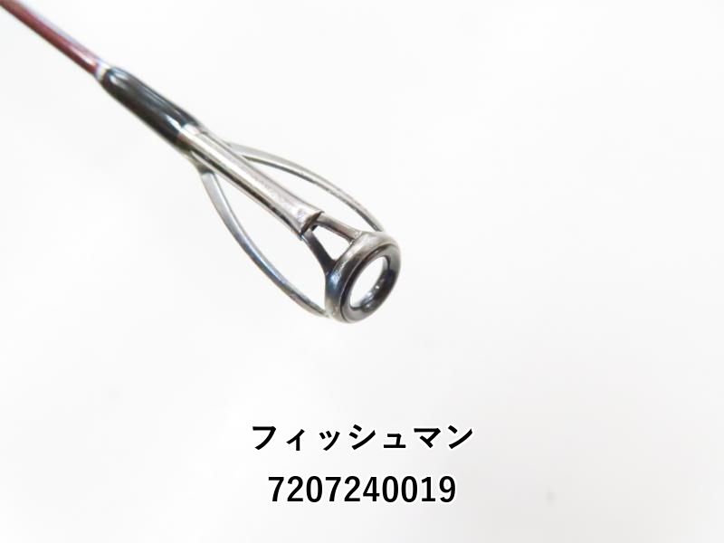 フィッシュマン ビームス ローワー 7.3 L 01-