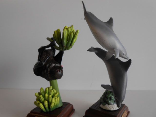 ♯Jti11RZネイチャーテクニカラー小笠原2種 - メルカリ