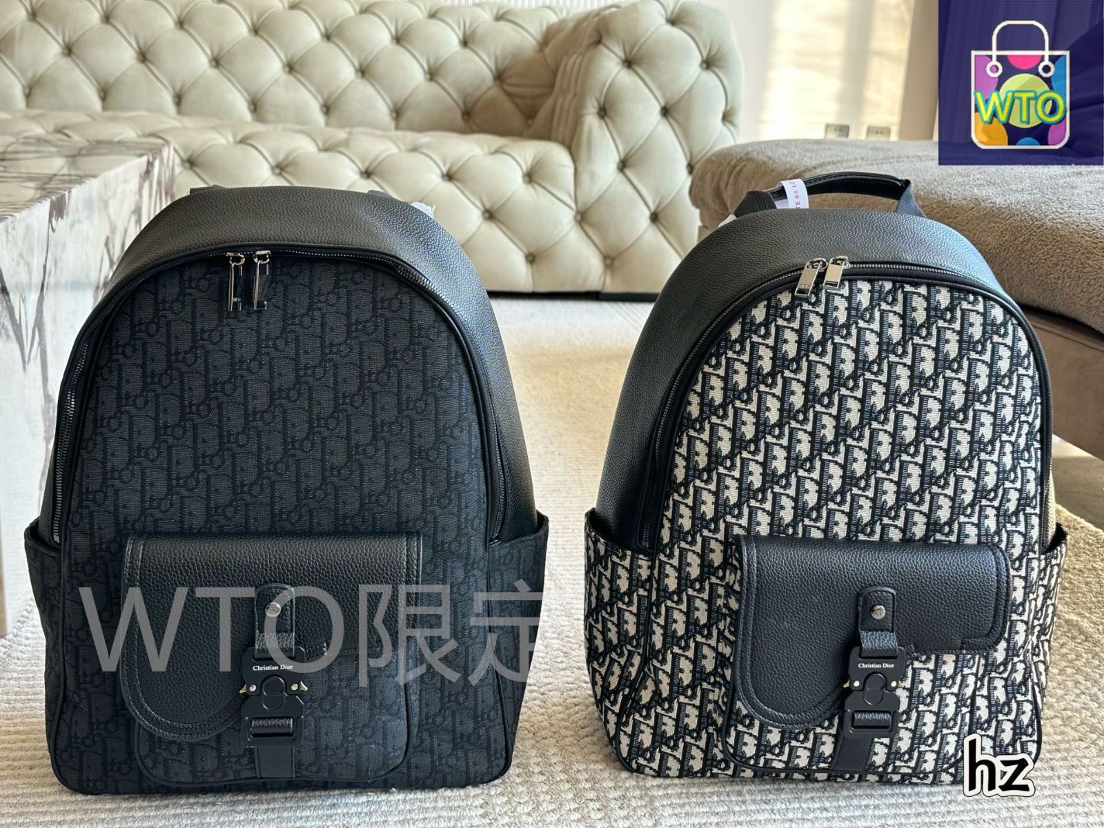 今日特価】Dior Oblique Rider Backpack ～ディオール