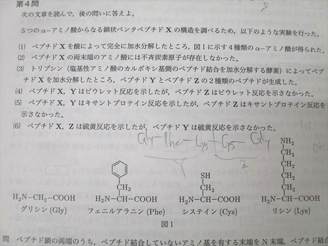 鉄緑会 高2化学基礎講座 復習テスト 第1〜37/39〜43回/総復習テスト 第2〜6回 A帯 テスト計47回分セット ☆ 038S0D 鉄緑会 高2化学基礎講座 復習テスト 第1～37/39～43回/総復習