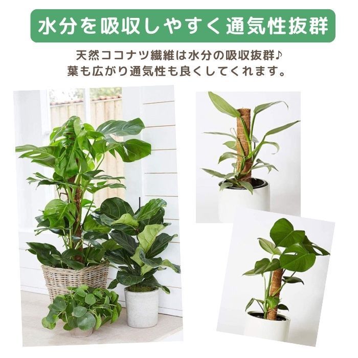 植物支柱 園芸支柱 ココナッツ支柱 Ａ級品 30cm 2本 天然 ココナッツ 