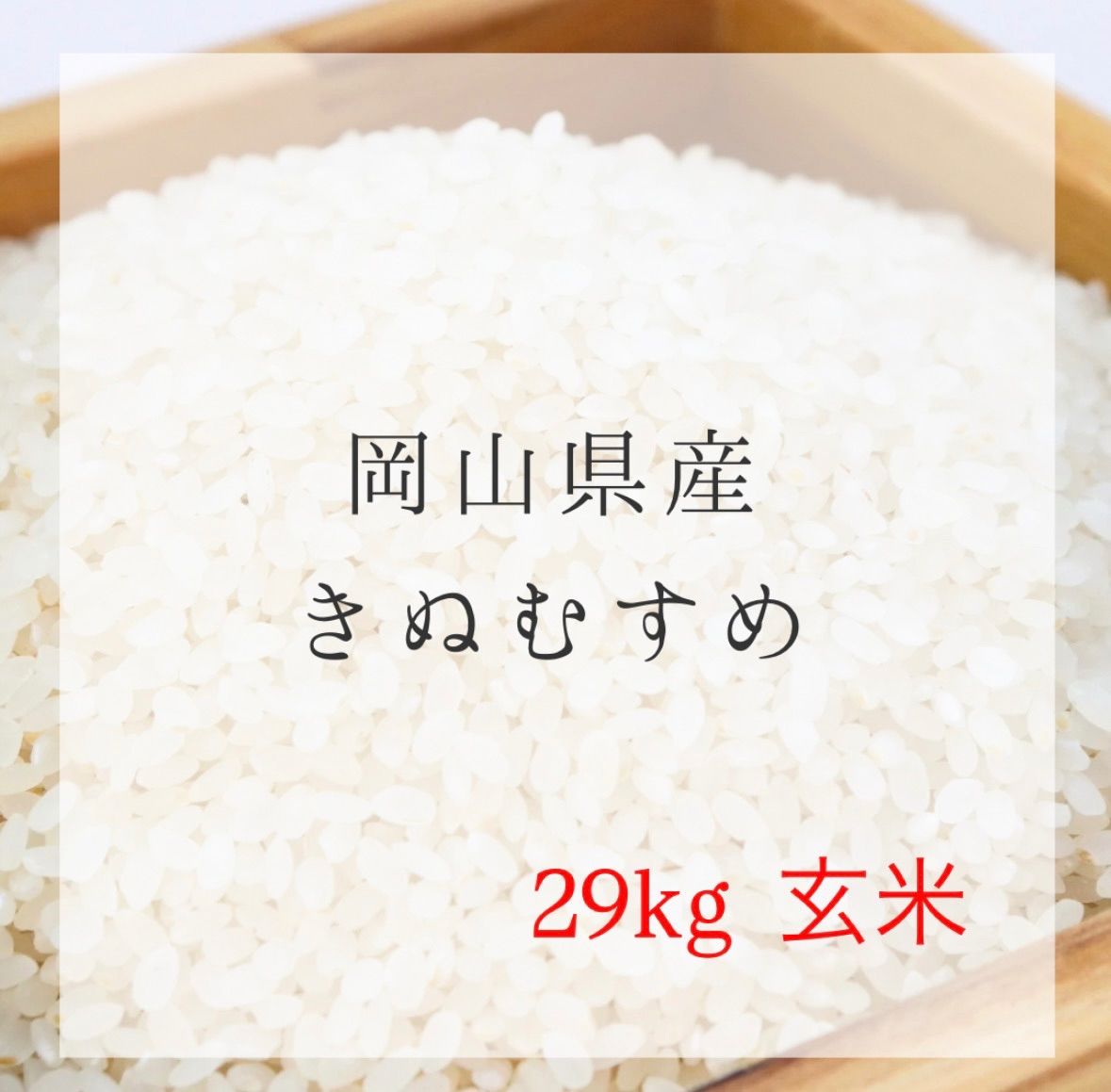 農薬不使用✨きぬむすめ玄米 29kg 令和7年産 - メルカリ